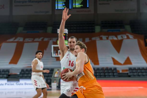 寻求健康的 寻求健康的